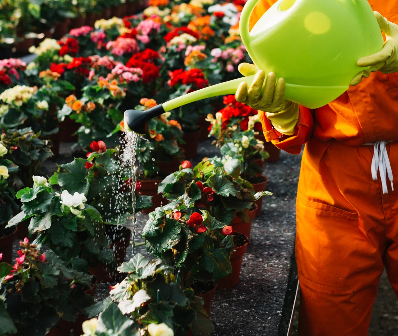 Irrigation-system-repair-services